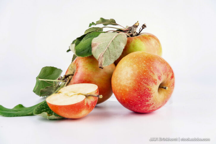 Holsteiner Cox Apfel