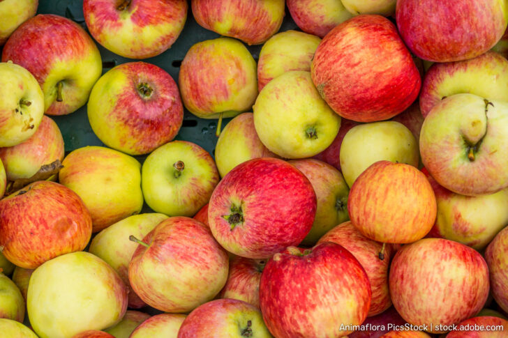 Jonagold Apfel