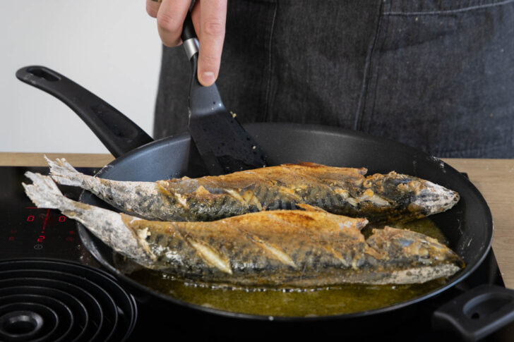 Makrelen im Ganzen in der Pfanne braten