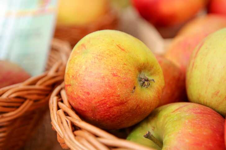 Pilot Apfel