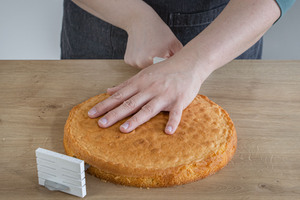 Boden der Quark-Sahne-Torte nach DDR-Rezept teilen