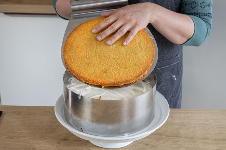 zweiten Boden auf die Quark-Sahne-Torte legen