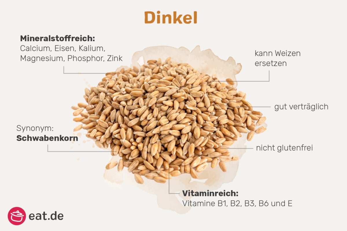 Welches Dinkelmehl zum Backen? DinkelmehlTypen eat.de