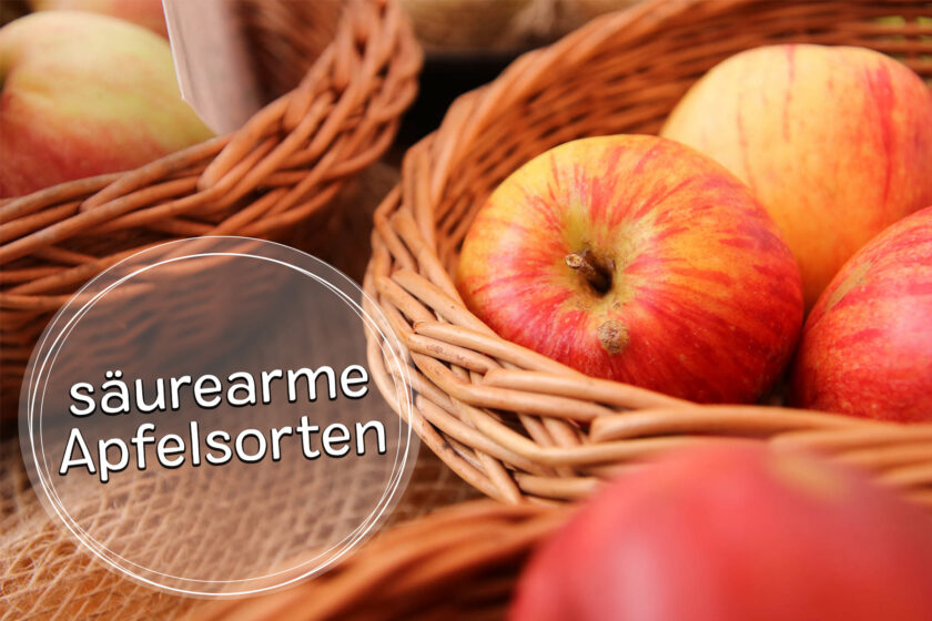 Säurearme Apfelsorten
