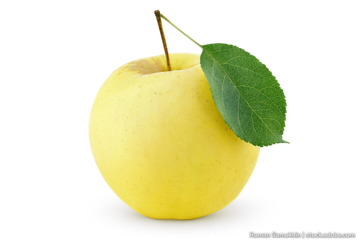 Seestermühler Zitronenapfel