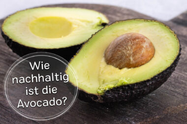 Wasserverbrauch Avocado