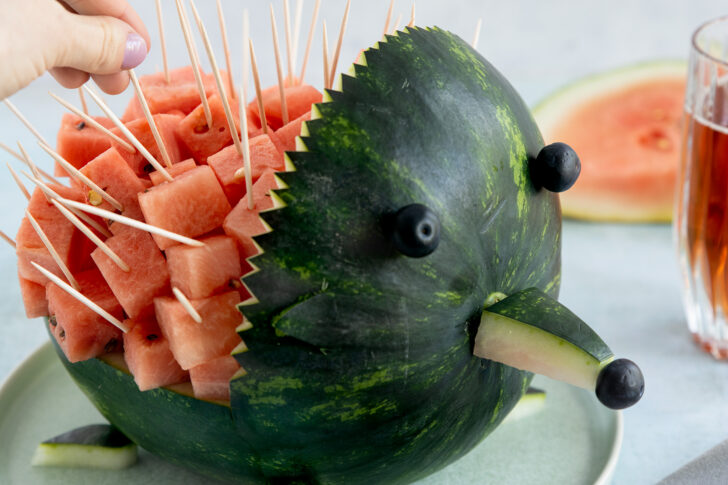 Melonenigel