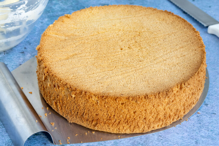 Biskuitboden fluffig und hoch