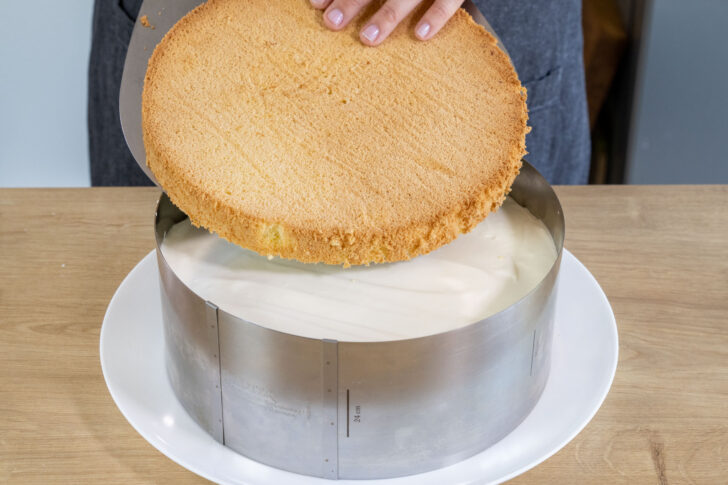 Boden auf die Quark-Sahne-Torte mit Mandarinen legen