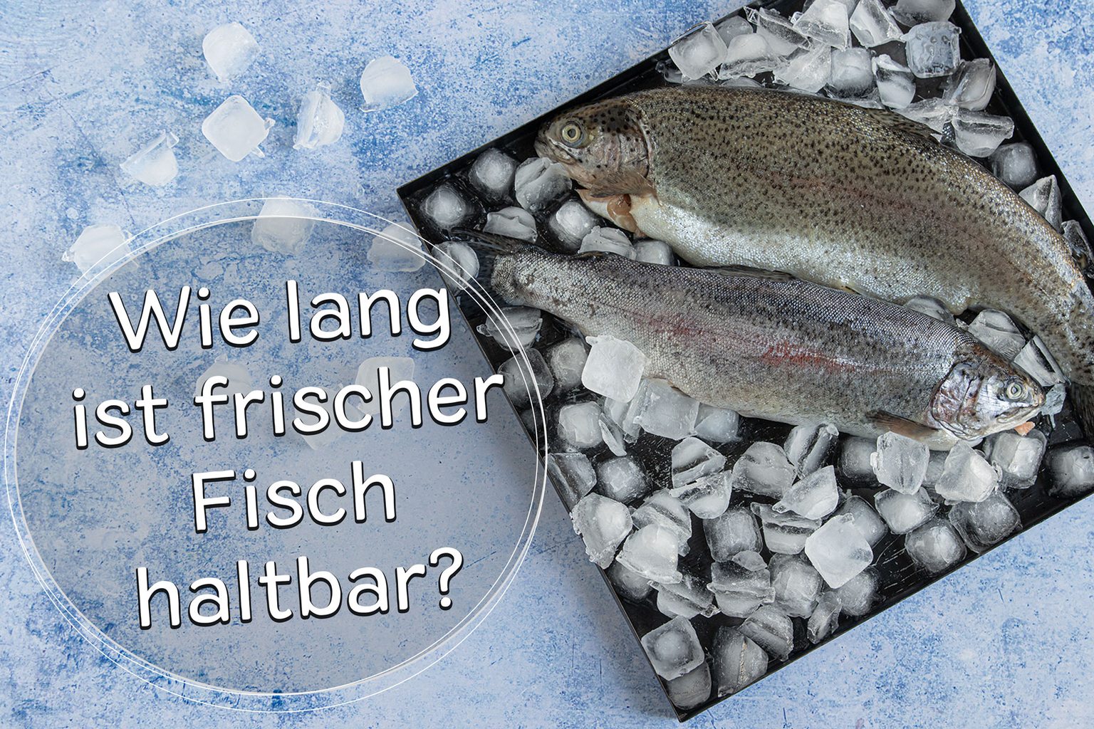 Frischer Fisch: wie lange ist Lachs & Co haltbar?