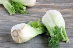 Fenchel