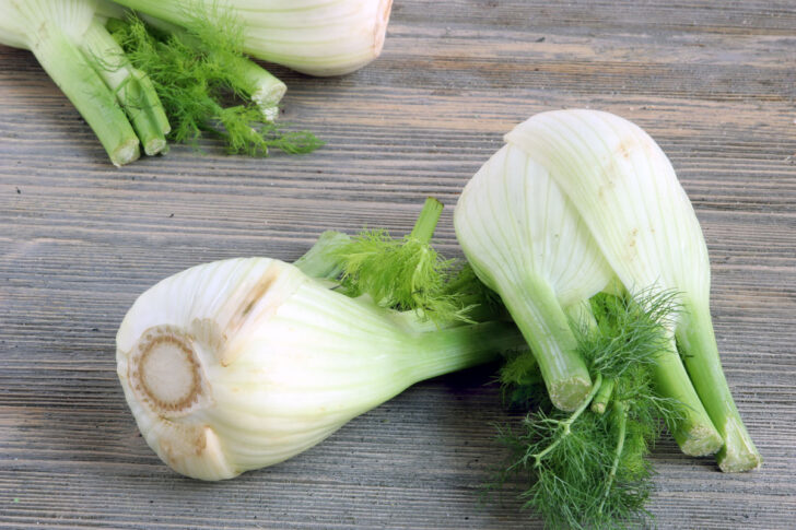 Fenchel