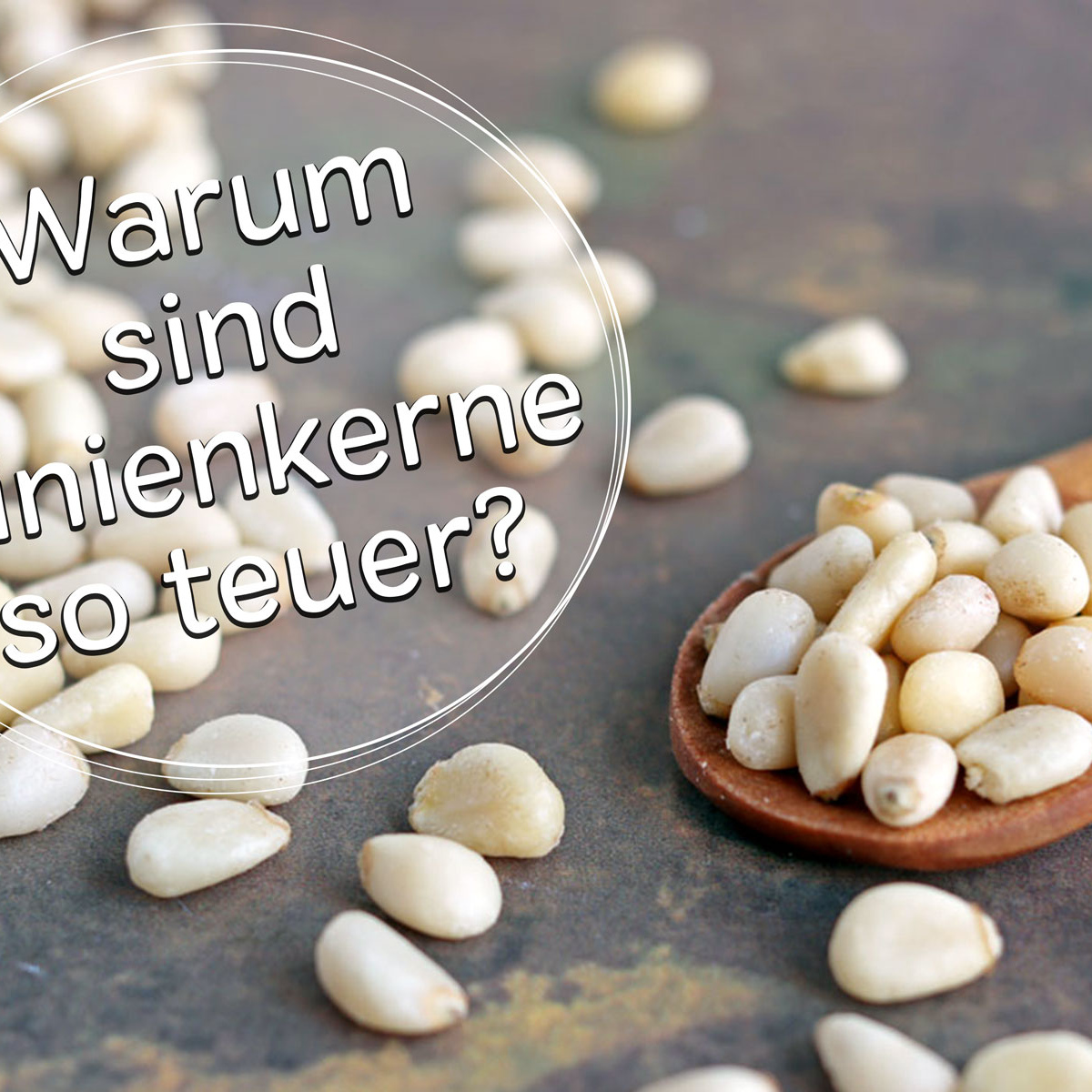 Warum sind Pinien so teuer?