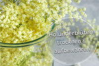 lenkerband mountainbike HOUSON Fahrrad Bar End - Nylon Lenker Spitzen rutschfest für MTB Cube Bikes Cube Aim Galaxy Hülle inkl. Adapterplatte (Modell):Galaxy S24 Duramax