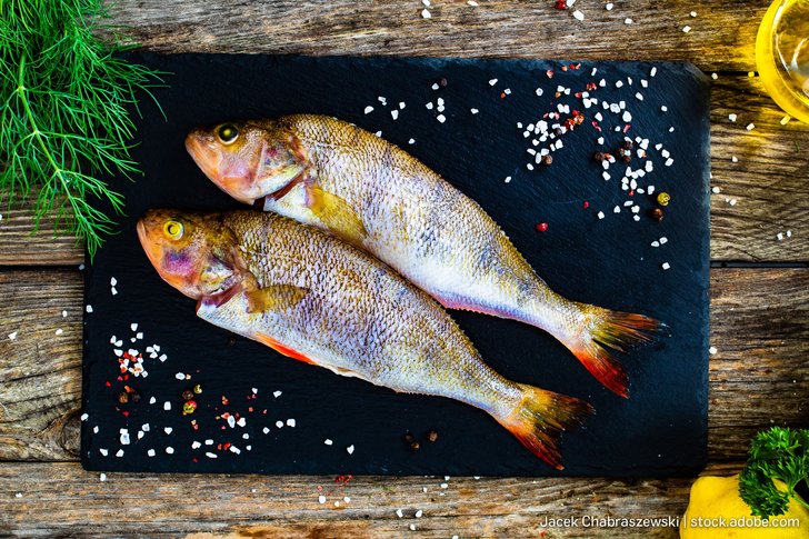 Barsch als Speisefisch