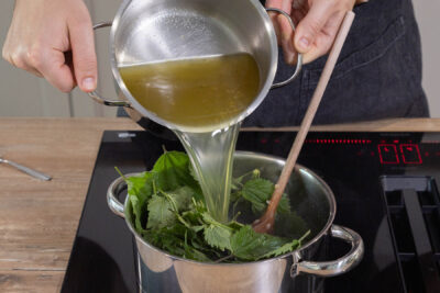 Brennnesselsuppe mit Brühe auffüllen