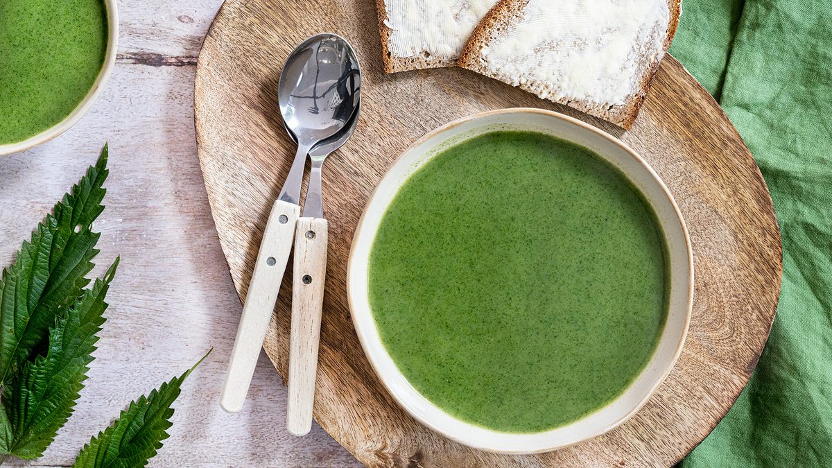 Würzige Brennnesselsuppe | Rezept - eat.de