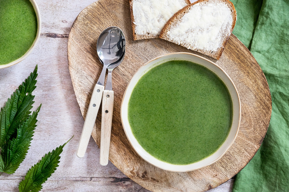 Würzige Brennnesselsuppe | Rezept - eat.de Würzige Brennnesselsuppe | Rezept - eat.de