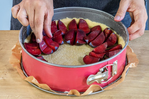 Pflaumen auf dem Boden platzieren