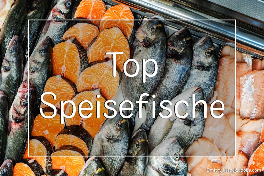 Top Speisefische