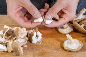 Shiitake Pilze zerrupfen