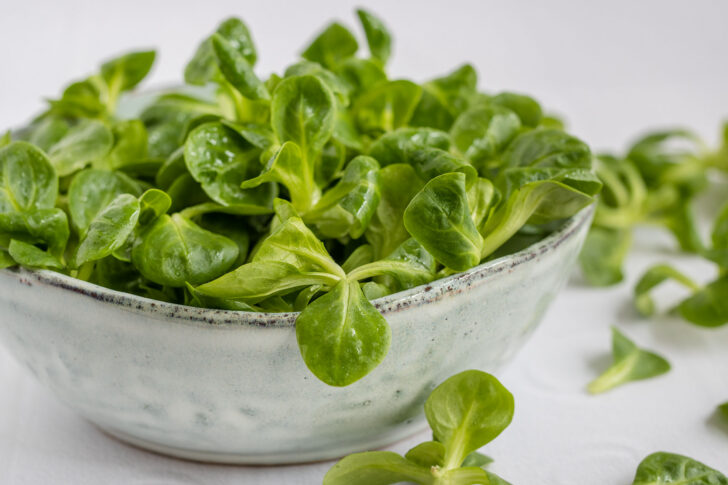 Feldsalat