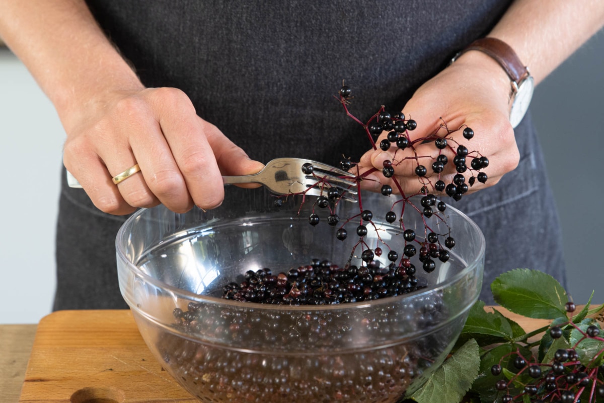 Holunderbeerengelee mit Apfelsaft und Zitrone | Rezept - eat.de