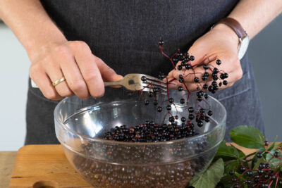 Holunderbeeren vom Stiel lösen