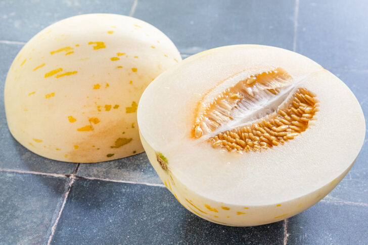 Melonensorte Melone Snowball