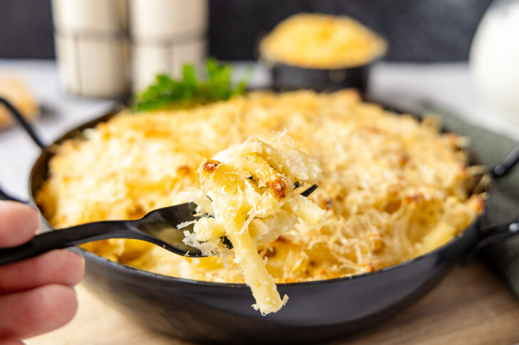 original Mac and Cheese auf einer Gabel