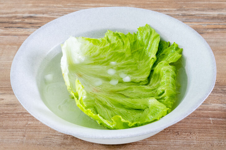 Salatblatt in Eiswasser legen 