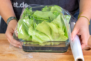 Kopfsalat in Wasserschale leicht mit Folie umwickeln