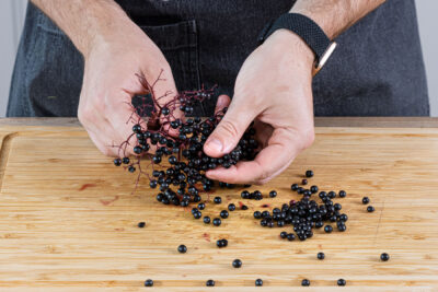 Holunderbeeren von den Stielen zupfen