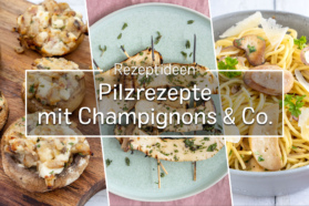 Pilz-Rezepte mit Champignons & Co.