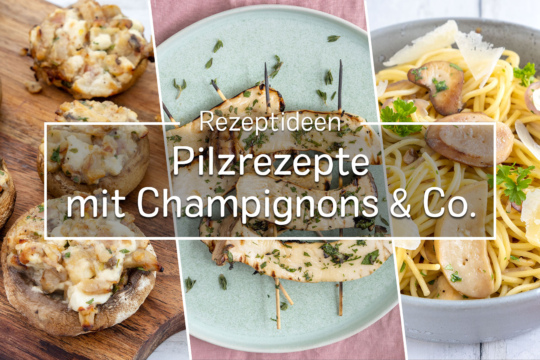 Pilz-Rezepte mit Champignons & Co.