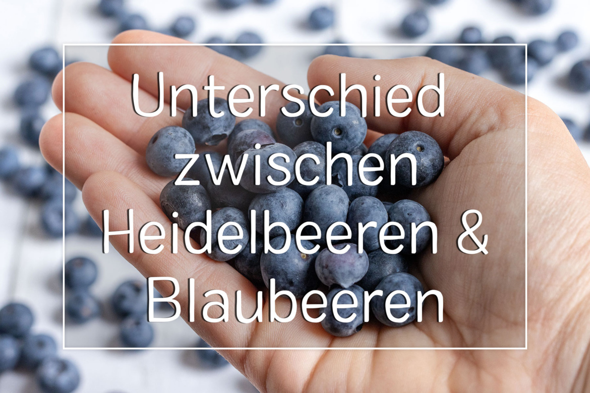 Was ist der Unterschied zwischen Heidelbeeren und Blaubeeren? - eat.de