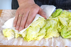 Wirsing mit Küchenpapier abtrocknen