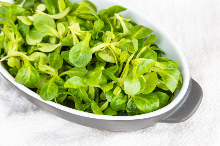 Feldsalat