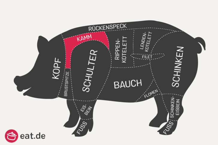 Schwein Kamm