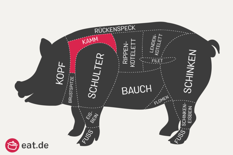 Schwein Kamm