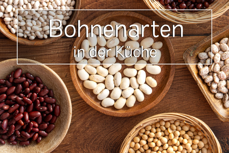 Bohnenarten und Bohnensorten in der Küche