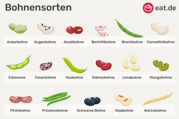 Bohnensorten