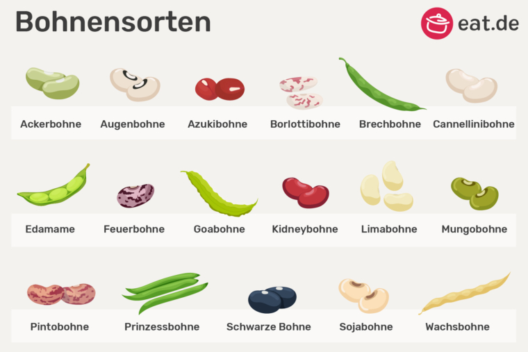 Alle Bohnenarten 17 Bohnensorten in der Küche