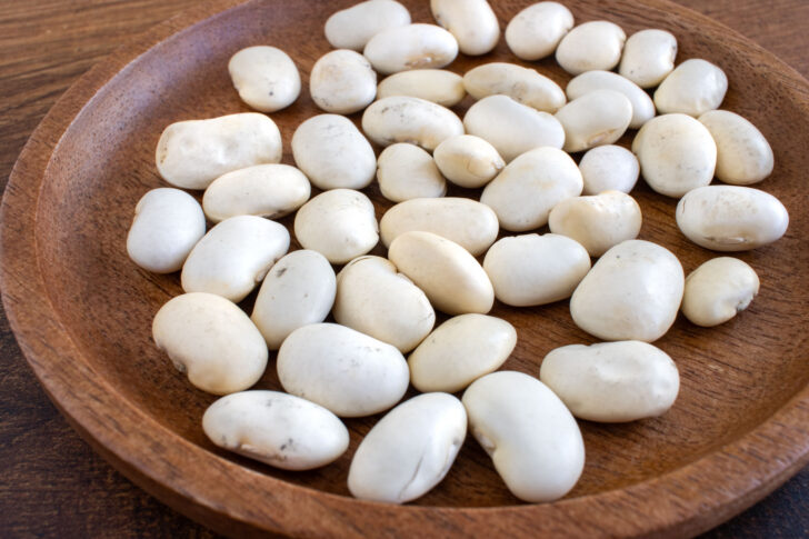 Cannelinibohne weiße Bohne