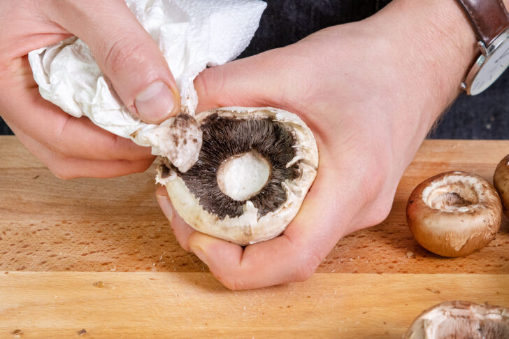 Champignonköpfe trocken tupfen