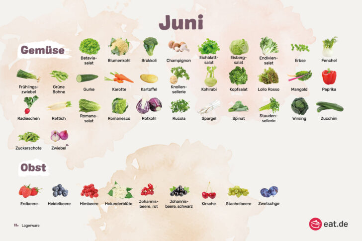 Juni Monatsübersicht Saisonkalender