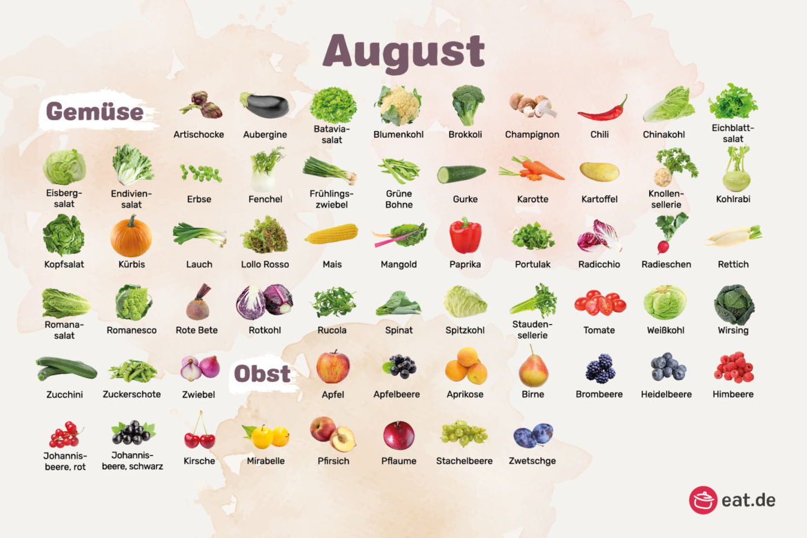 August Monatsübersicht Saisonkalender