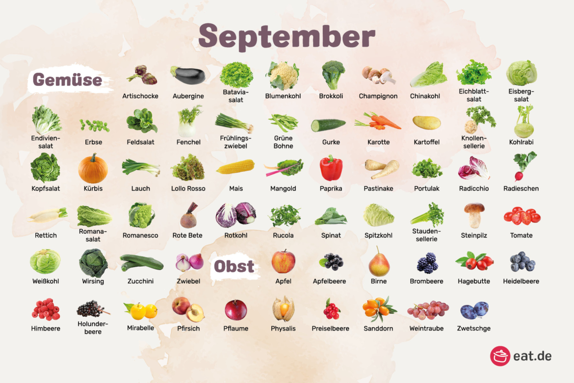 September Monatsübersicht Saisonkalender