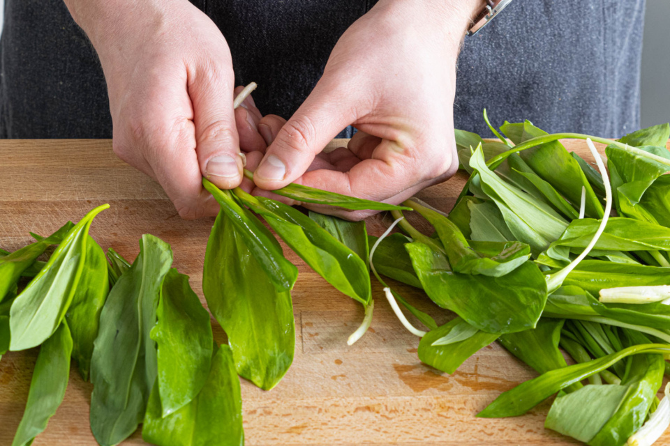 Bärlauchpesto mit Walnüssen | Rezept