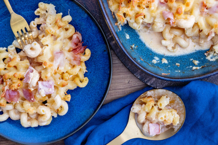 Einfaches Nudel-Schinken-Gratin